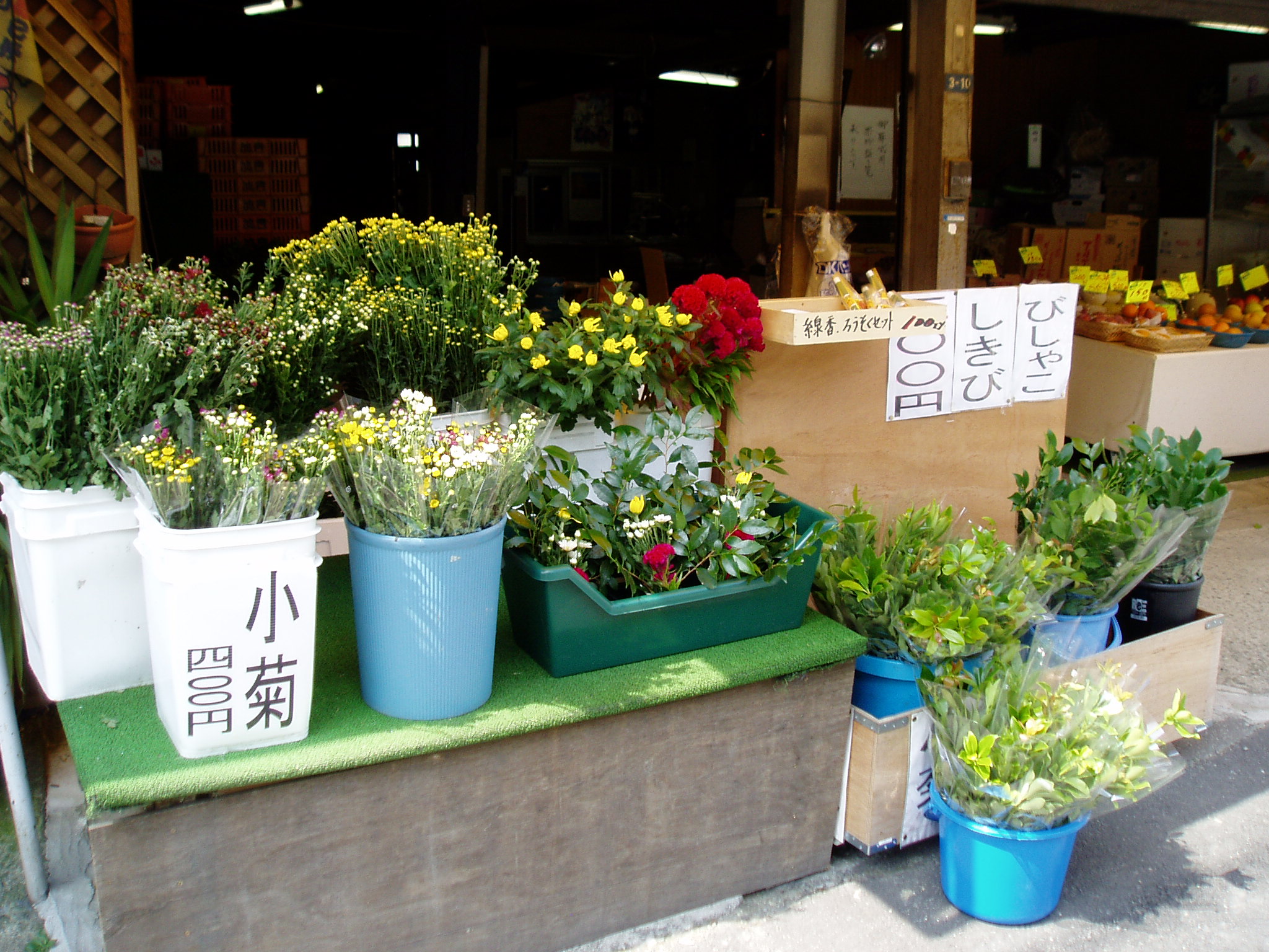 季節の果物 フルーツ 野菜が安い 大阪北摂池田市 池田青果 豊中 箕面 川西も配達応相談